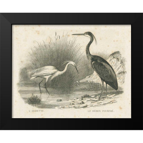 French Birds II Black Modern Wood Framed Art Print by Wild Apple Portfolio