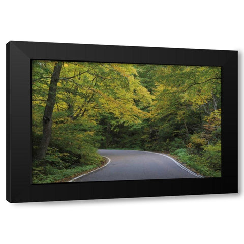 Smugglers Notch Road Black Modern Wood Framed Art Print by Majchrowicz, Alan