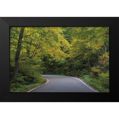 Smugglers Notch Road Black Modern Wood Framed Art Print by Majchrowicz, Alan
