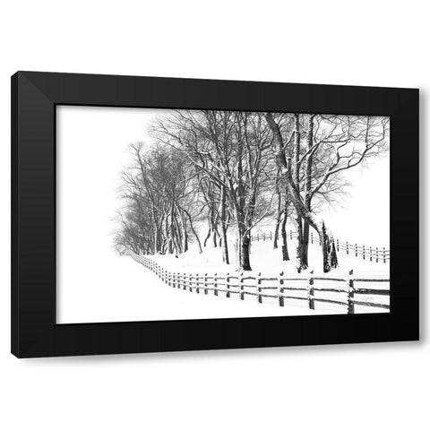 Winter Wonderland Black Modern Wood Framed Art Print with Double Matting by Aledanda