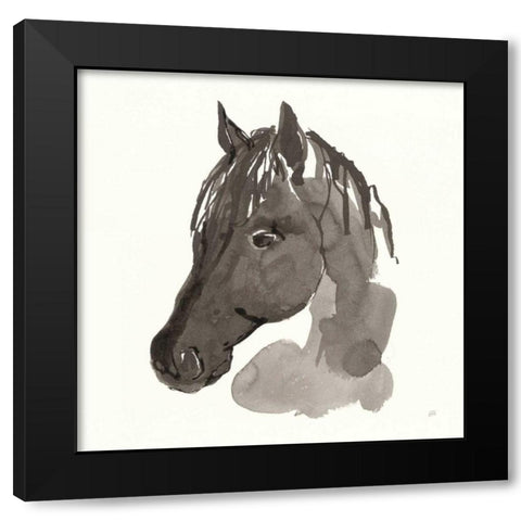 Horse Portrait II Black Modern Wood Framed Art Print with Double Matting by Paschke, Chris