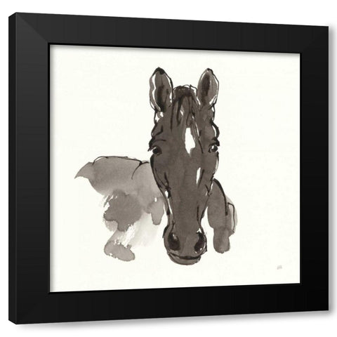 Horse Portrait IV Black Modern Wood Framed Art Print with Double Matting by Paschke, Chris
