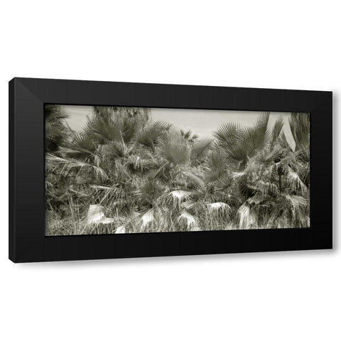 Water Palms Crop Black Modern Wood Framed Art Print by Goldstein, Ed