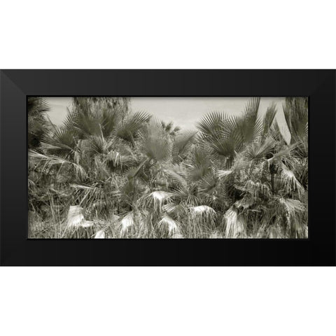 Water Palms Crop Black Modern Wood Framed Art Print by Goldstein, Ed