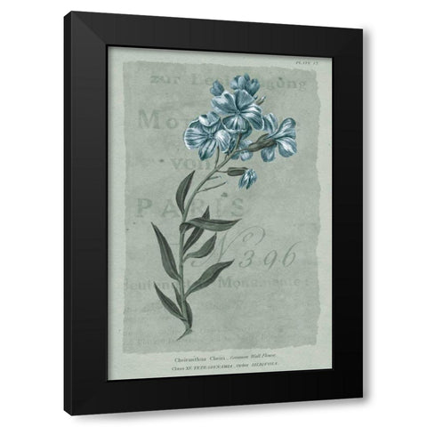 Conversations on Botany VI on White with Blue Black Modern Wood Framed Art Print by Wild Apple Portfolio