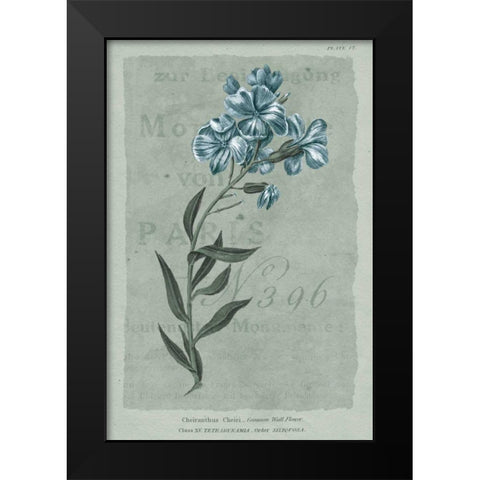 Conversations on Botany VI on White with Blue Black Modern Wood Framed Art Print by Wild Apple Portfolio