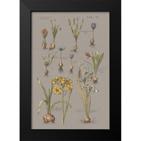 Florilegium II Gray Black Modern Wood Framed Art Print by Wild Apple Portfolio