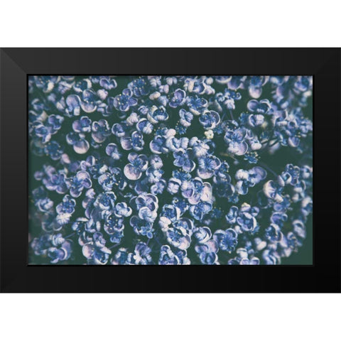Lilac Closeup Black Modern Wood Framed Art Print by Aledanda
