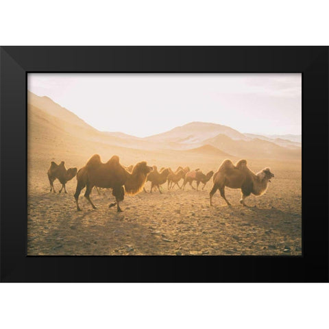 Camels on the Move Black Modern Wood Framed Art Print by Aledanda