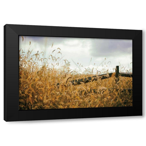 Fencerow Black Modern Wood Framed Art Print by Aledanda