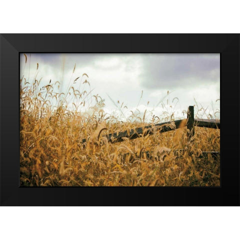 Fencerow Black Modern Wood Framed Art Print by Aledanda