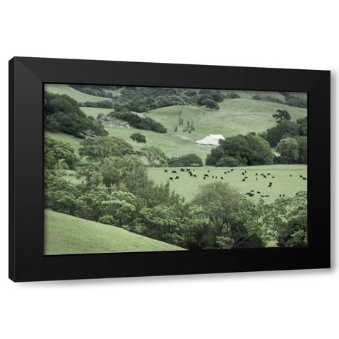 Marin California Ranch Black Modern Wood Framed Art Print with Double Matting by Majchrowicz, Alan