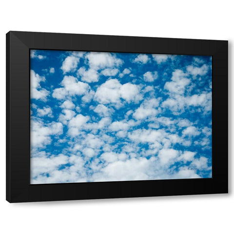 Powder Puff Skies Black Modern Wood Framed Art Print by Goldstein, Ed