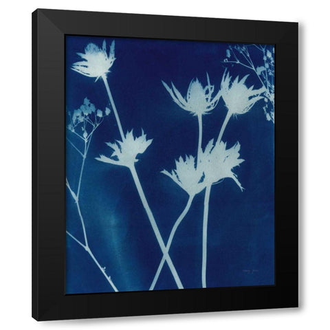 Enchanted Cyanotype I Black Modern Wood Framed Art Print by Green, Nancy