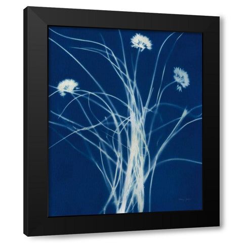 Enchanted Cyanotype II Black Modern Wood Framed Art Print by Green, Nancy