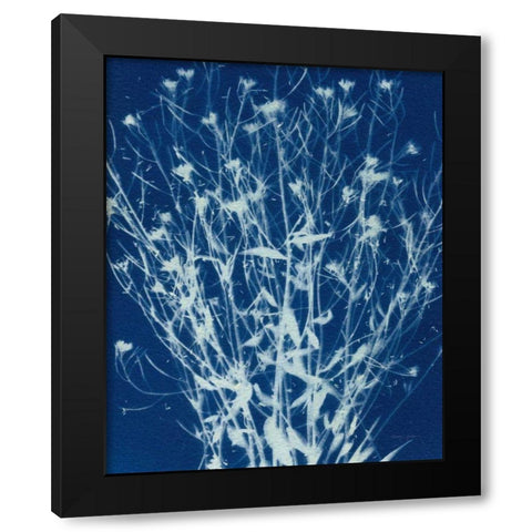Enchanted Cyanotype III Black Modern Wood Framed Art Print with Double Matting by Green, Nancy