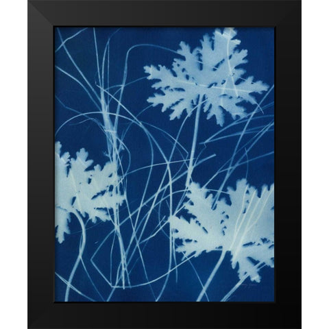 Enchanted Cyanotype IV Black Modern Wood Framed Art Print by Green, Nancy