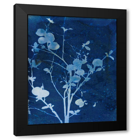 Enchanted Cyanotype VI Black Modern Wood Framed Art Print with Double Matting by Green, Nancy