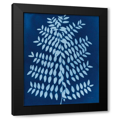 Enchanted Cyanotype VIII Black Modern Wood Framed Art Print with Double Matting by Green, Nancy