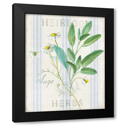 Floursack Herbs III Black Modern Wood Framed Art Print with Double Matting by Nai, Danhui