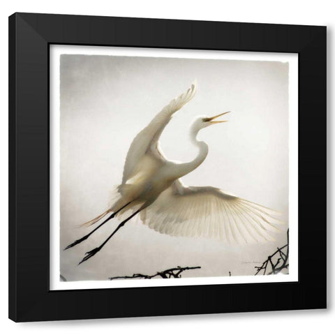 Emergence Black Modern Wood Framed Art Print with Double Matting by Van Swearingen, Debra