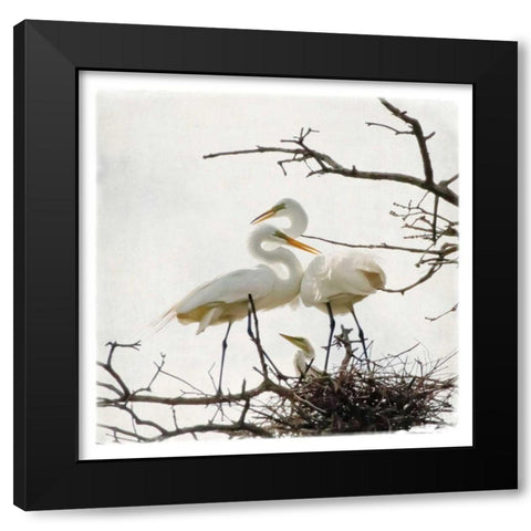 Devotion Black Modern Wood Framed Art Print by Van Swearingen, Debra