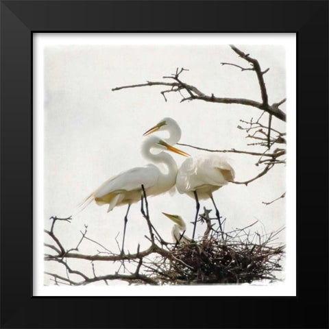 Devotion Black Modern Wood Framed Art Print by Van Swearingen, Debra