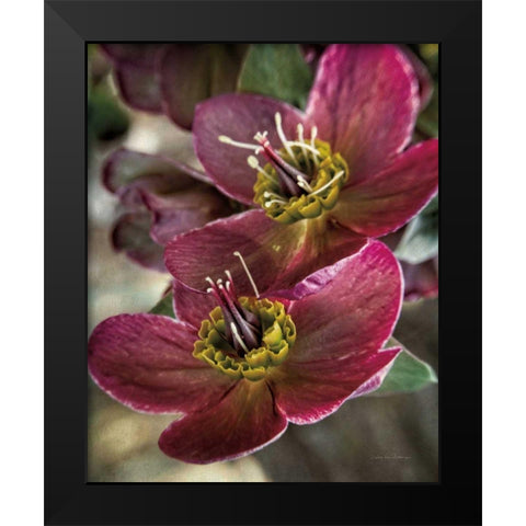 Lenton Rose V Black Modern Wood Framed Art Print by Van Swearingen, Debra