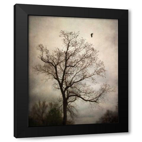 The Flyover Black Modern Wood Framed Art Print with Double Matting by Van Swearingen, Debra