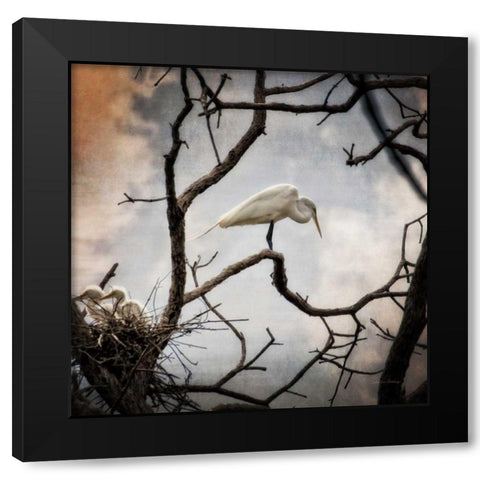 Respite Black Modern Wood Framed Art Print by Van Swearingen, Debra