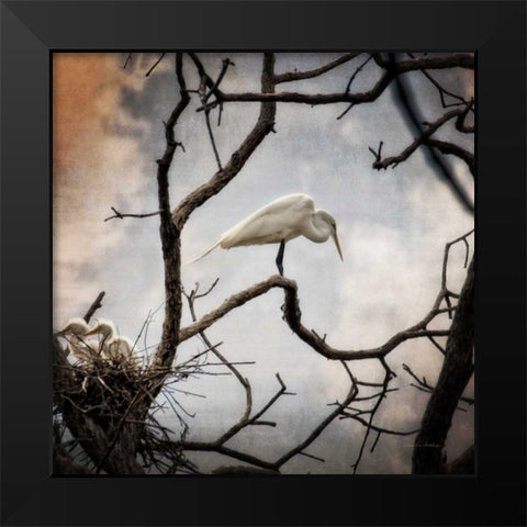 Respite Black Modern Wood Framed Art Print by Van Swearingen, Debra