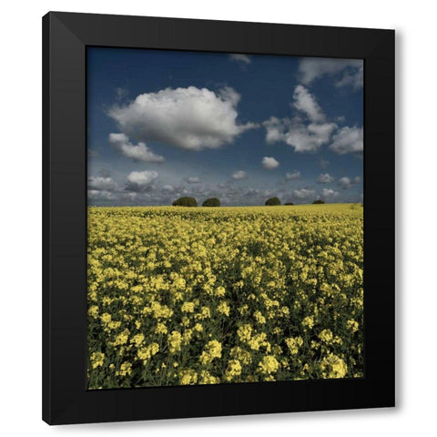 Yellow Fields Black Modern Wood Framed Art Print by Eichman, Andre