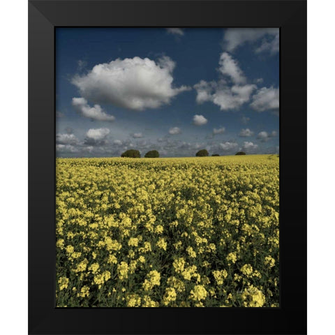 Yellow Fields Black Modern Wood Framed Art Print by Eichman, Andre