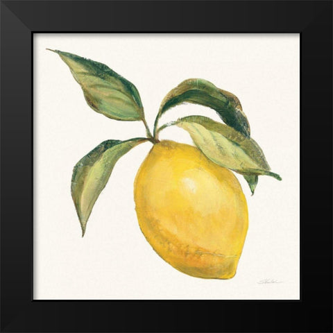 Le Citron on Cream Black Modern Wood Framed Art Print by Vassileva, Silvia