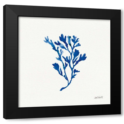Deep Sea Botanical II Black Modern Wood Framed Art Print by Tavoletti, Anne