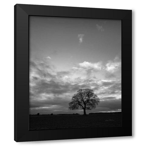 Horizon Tree BW Black Modern Wood Framed Art Print with Double Matting by Eichman, Andre