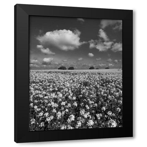 Yellow Fields BW Black Modern Wood Framed Art Print with Double Matting by Eichman, Andre