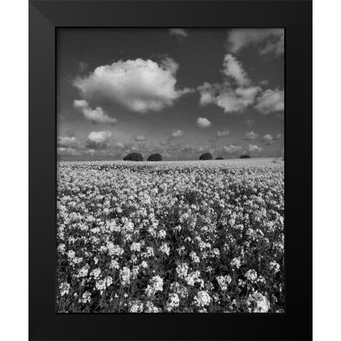 Yellow Fields BW Black Modern Wood Framed Art Print by Eichman, Andre