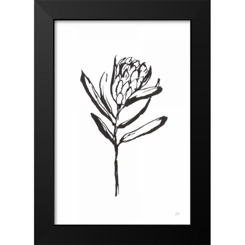 Line Protea I Black Modern Wood Framed Art Print by Paschke, Chris