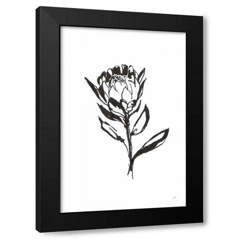 Line Protea II Black Modern Wood Framed Art Print by Paschke, Chris