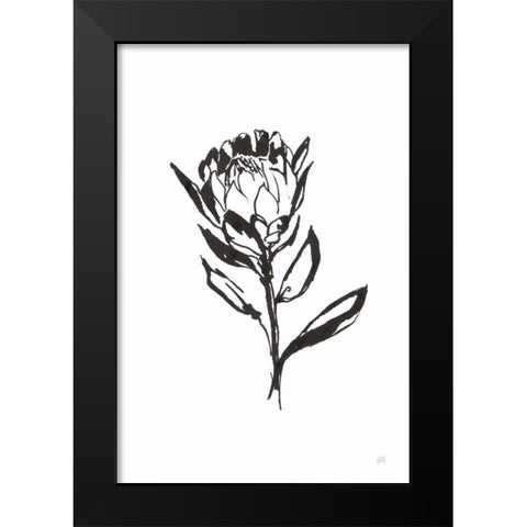Line Protea II Black Modern Wood Framed Art Print by Paschke, Chris