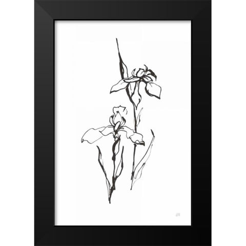 Line Iris II Black Modern Wood Framed Art Print by Paschke, Chris