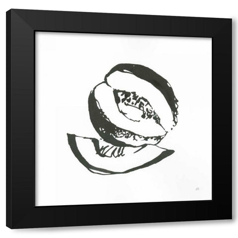 Cantaloupe I BW Black Modern Wood Framed Art Print by Paschke, Chris