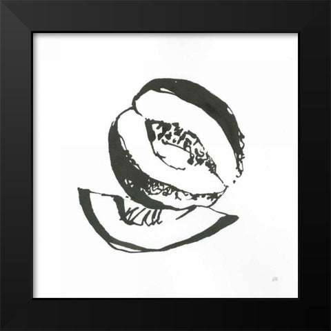Cantaloupe I BW Black Modern Wood Framed Art Print by Paschke, Chris