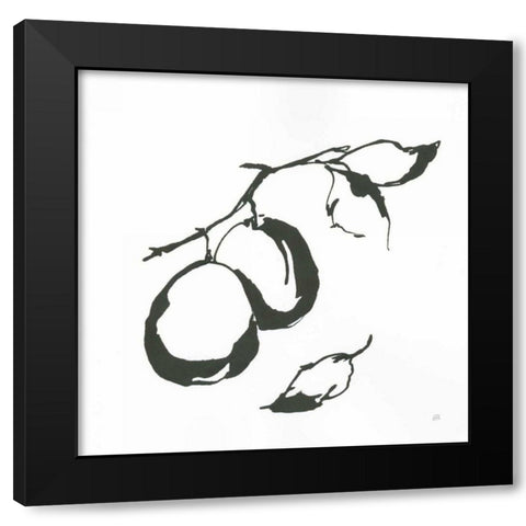 Plums I BW Black Modern Wood Framed Art Print with Double Matting by Paschke, Chris