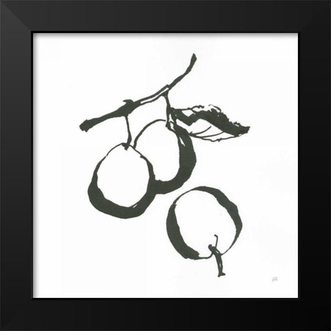 Plums II BW Black Modern Wood Framed Art Print by Paschke, Chris