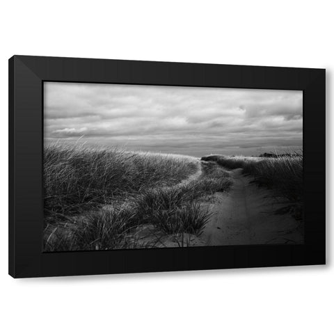 Beach Grasses Black Modern Wood Framed Art Print by Aledanda