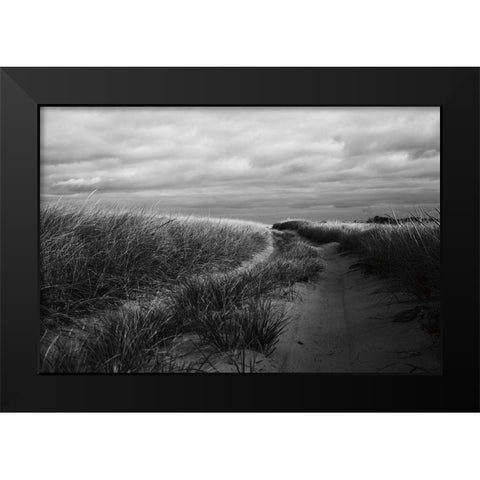 Beach Grasses Black Modern Wood Framed Art Print by Aledanda