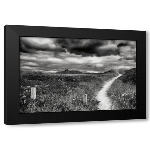 Nantucket Pathway Black Modern Wood Framed Art Print with Double Matting by Aledanda