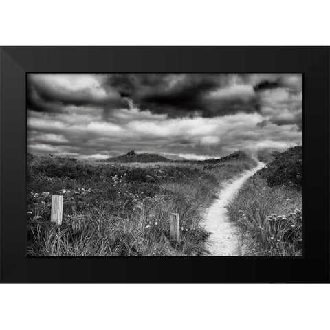 Nantucket Pathway Black Modern Wood Framed Art Print by Aledanda